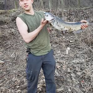 Meet your Posher, Caleb